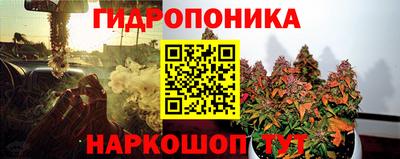 гашик Пенза