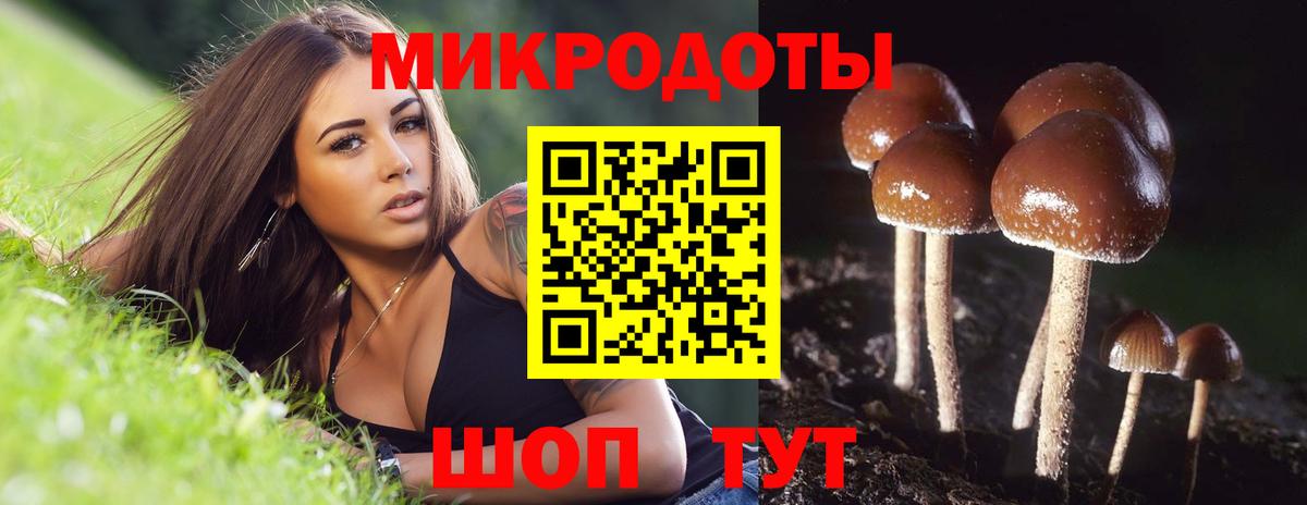 Тихвин  Псилоцибиновые грибы GOLDEN TEACHER  Псилоцибиновые грибы Cubensis  Вход с VPN 
